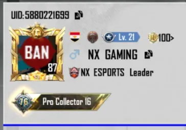 صورة NX Gaming